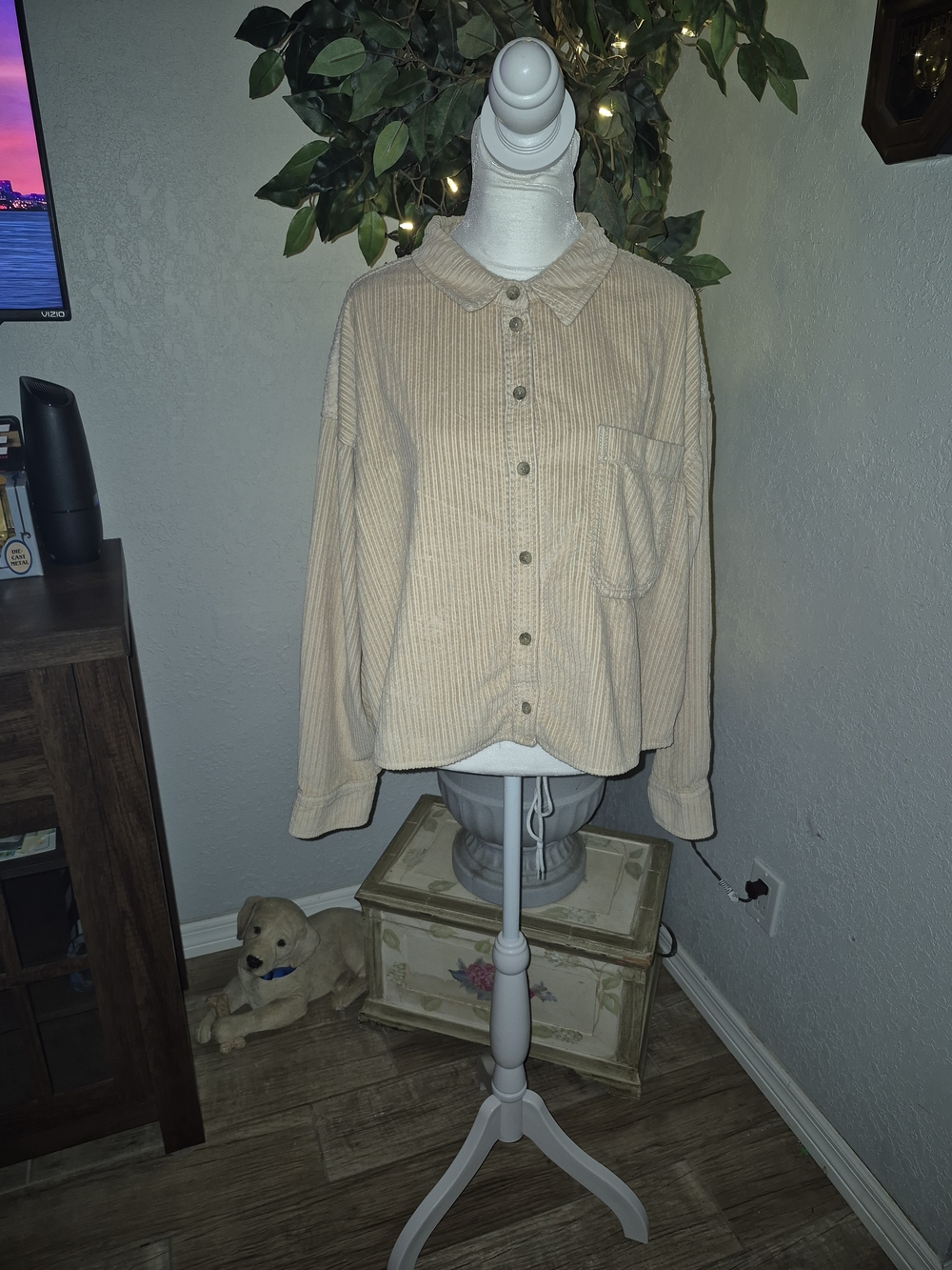 American Eagle Outfitters Beige Corduroy Button-Up Sweater